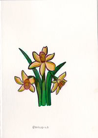 Day 19: Spring Daffodils