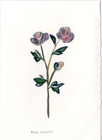 Day 23: Fake Flowers