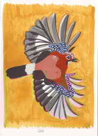 Day 28: Jay in flight (Share a Secret)