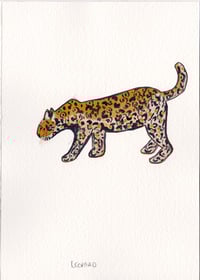 Day 18: Leopard on the prowl