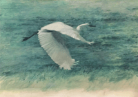 Las primeras palabras del poema