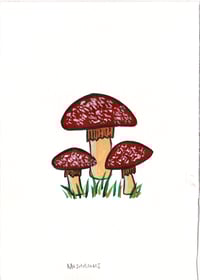 Day 17: Mushroom patch