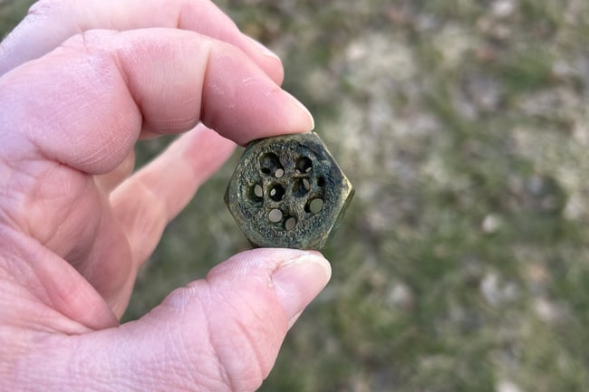 Worry Coin #001-2026