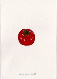 Day 6: Tomato (Plant a seed)
