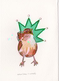 Day 9: Wren (Make it louder)