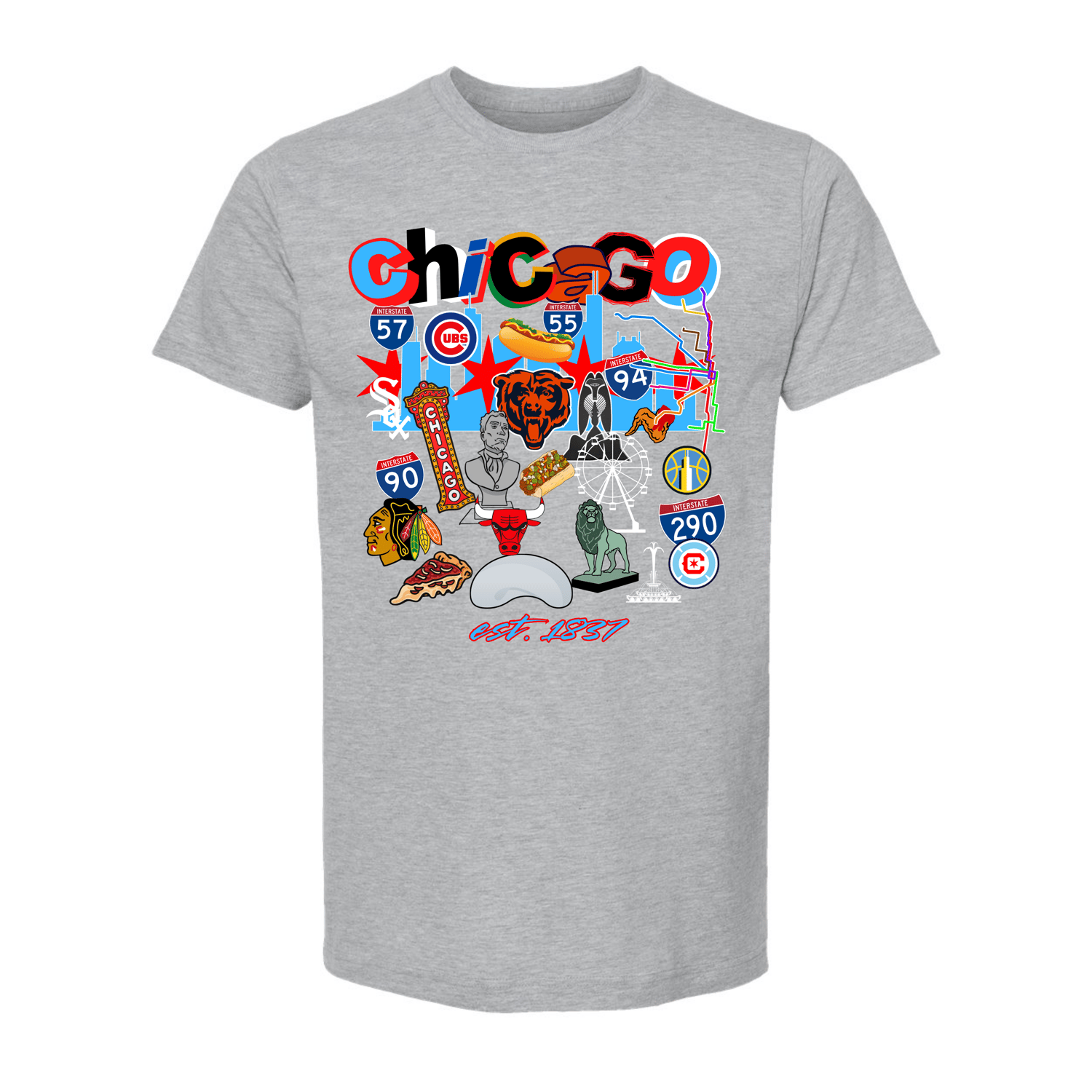 Image of CHICAGO COLLAGE GREY