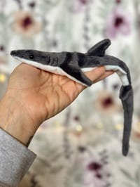 Image 1 of Thrasher Shark Beanie