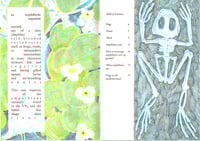 Image 2 of Amphibian Appreciation Zine (Second Edition)