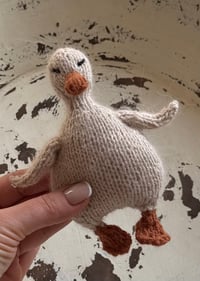 Image 1 of Little goose