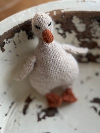 Image 2 of Little goose