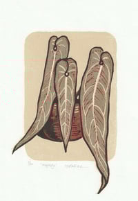 Majesty Limited Edition Linocut Print