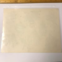 Image 2 of 1950’s Zeis original production flash sheet hand colored roses