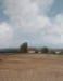 Image of Paysage rural d'été