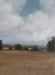Image of Paysage rural d'été