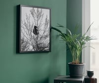 Image 1 of "Mother Provides"