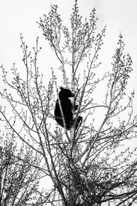 Image 2 of "Mother Provides"