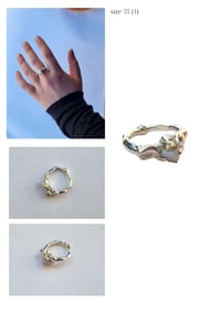 Image 3 of hydra rings