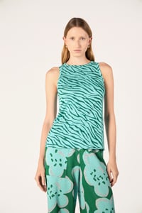 Image 2 of CANOTTA MYANMAR ZEBRA ZAFFIRO