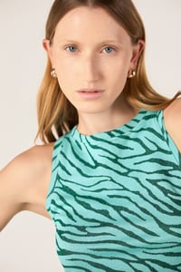 Image 1 of CANOTTA MYANMAR ZEBRA ZAFFIRO