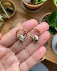 Image 1 of Aros Disco S Jaspe Dálmata