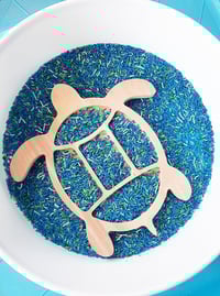 Image 2 of Turtle sensory kit