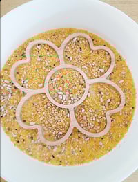 Image 2 of Flower sensory kit