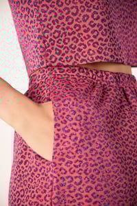 Image 4 of SHORT PARROT MACU VIOLA