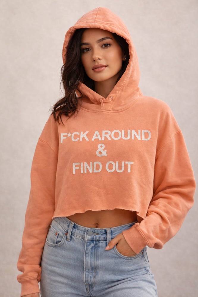 Image of F*ck Around and Find Out Women’s pink crop top hoodie