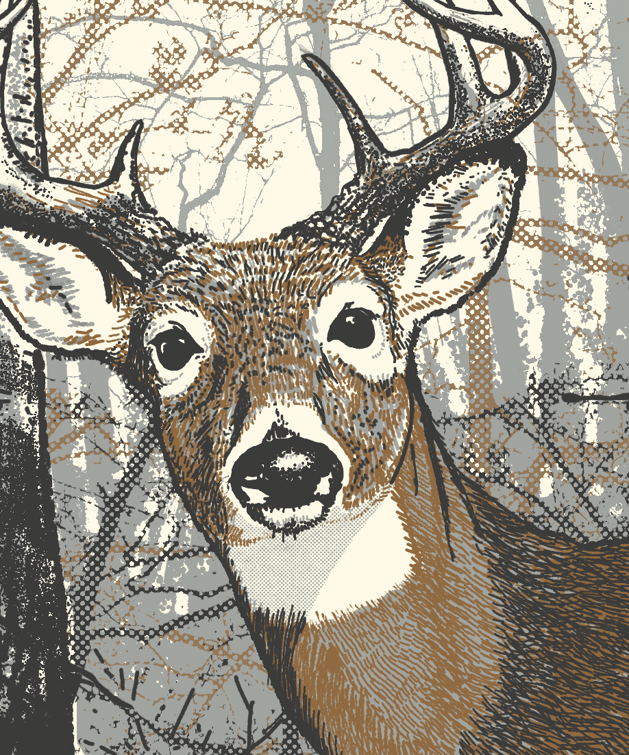 Image of Jason Isbell and the 400 Unit - Pittsburgh PA