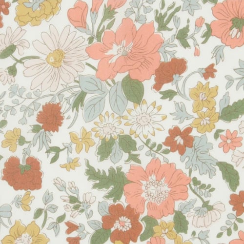 Image of DAISY MORISIA ( A )  * Back order 