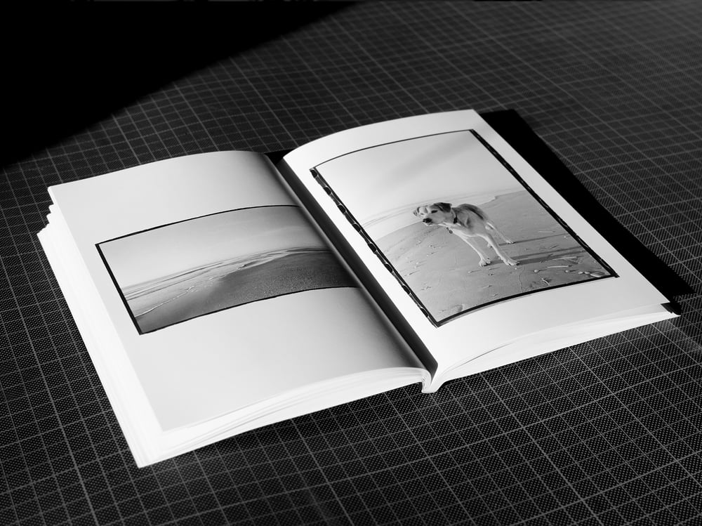 Bolle "The Ultimate Friend"