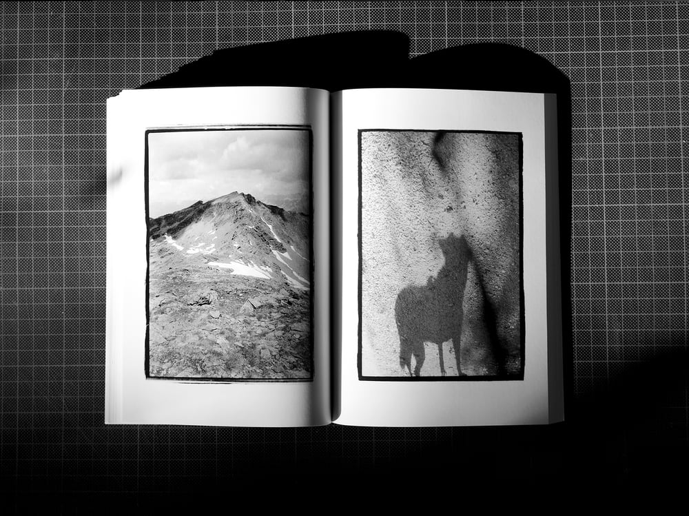 Bolle "The Ultimate Friend"