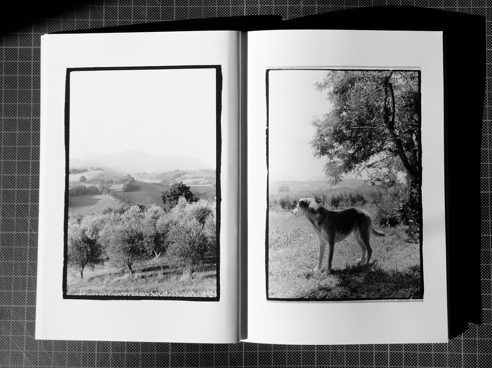 Bolle "The Ultimate Friend"