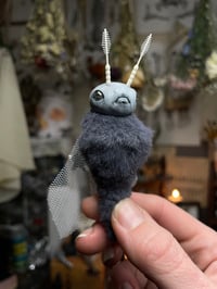 Image 4 of Astra the Moth-Fundraiser for Equality Kansas 