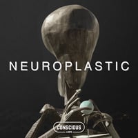 Neuroplastic (Conscious Loop)