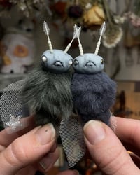 Image 1 of Astra the Moth-Fundraiser for Equality Kansas 