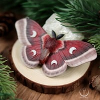 Image 2 of Cecropia Moth necklace 