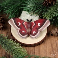 Image 1 of Cecropia Moth necklace 