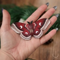 Image 3 of Cecropia Moth necklace 