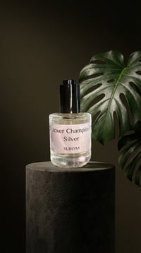 Image 3 of Boxer Champion Silver