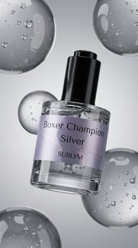 Image 4 of Boxer Champion Silver