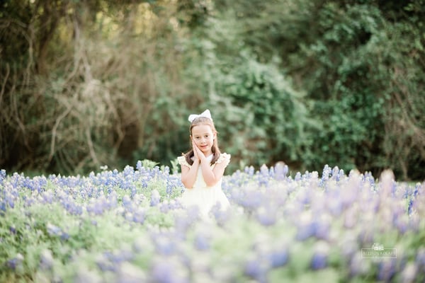 Image of Bluebonnet minis Houston 