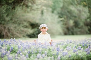 Image of Bluebonnet minis Houston