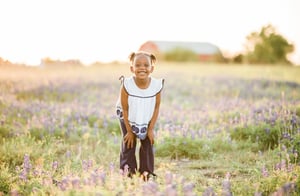 Image of Bluebonnet minis \ chappell hill 