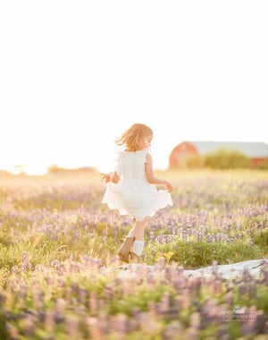 Image of Bluebonnet minis \ chappell hill