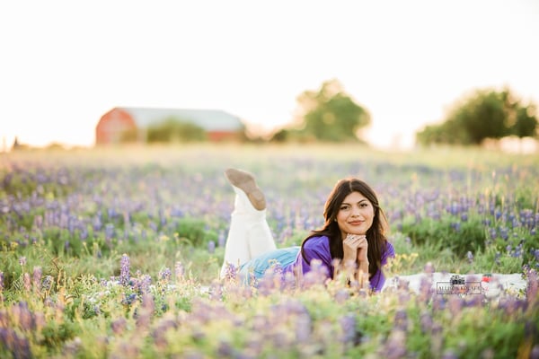 Image of Bluebonnet minis \ chappell hill 