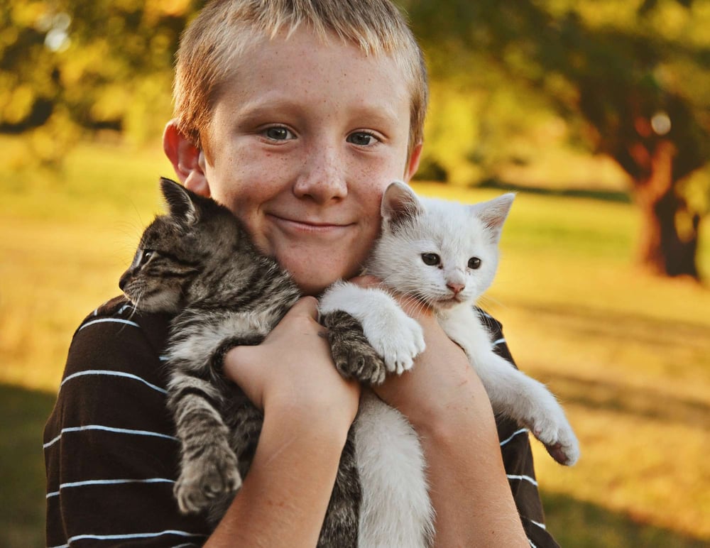 Image of Daylight Savings