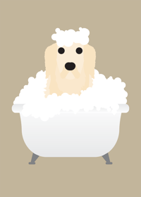 Image 4 of Golden Retriever Collection