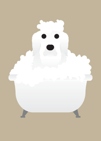 Image 6 of Golden Retriever Collection