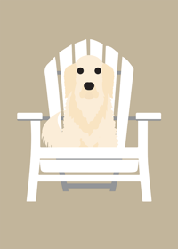 Image 7 of Golden Retriever Collection